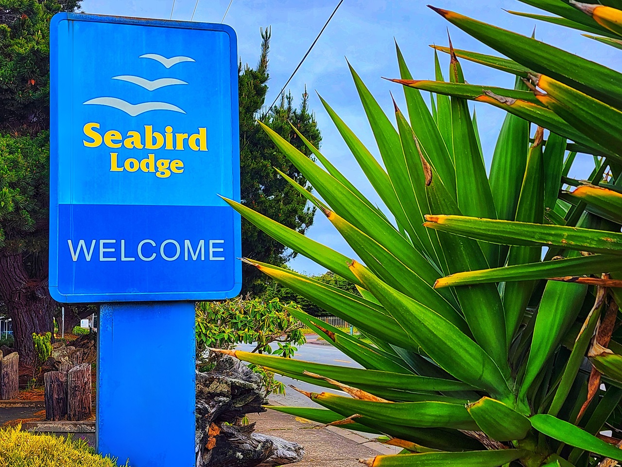 seabird Lodge